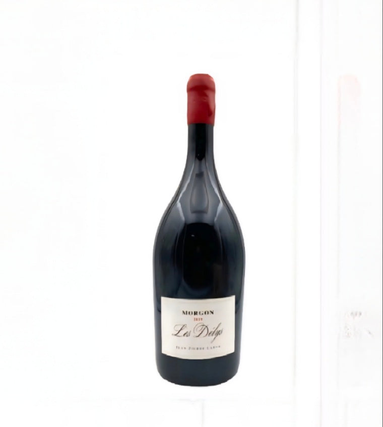 Domaine Jean Pierre Large Morgon 2023 rouge