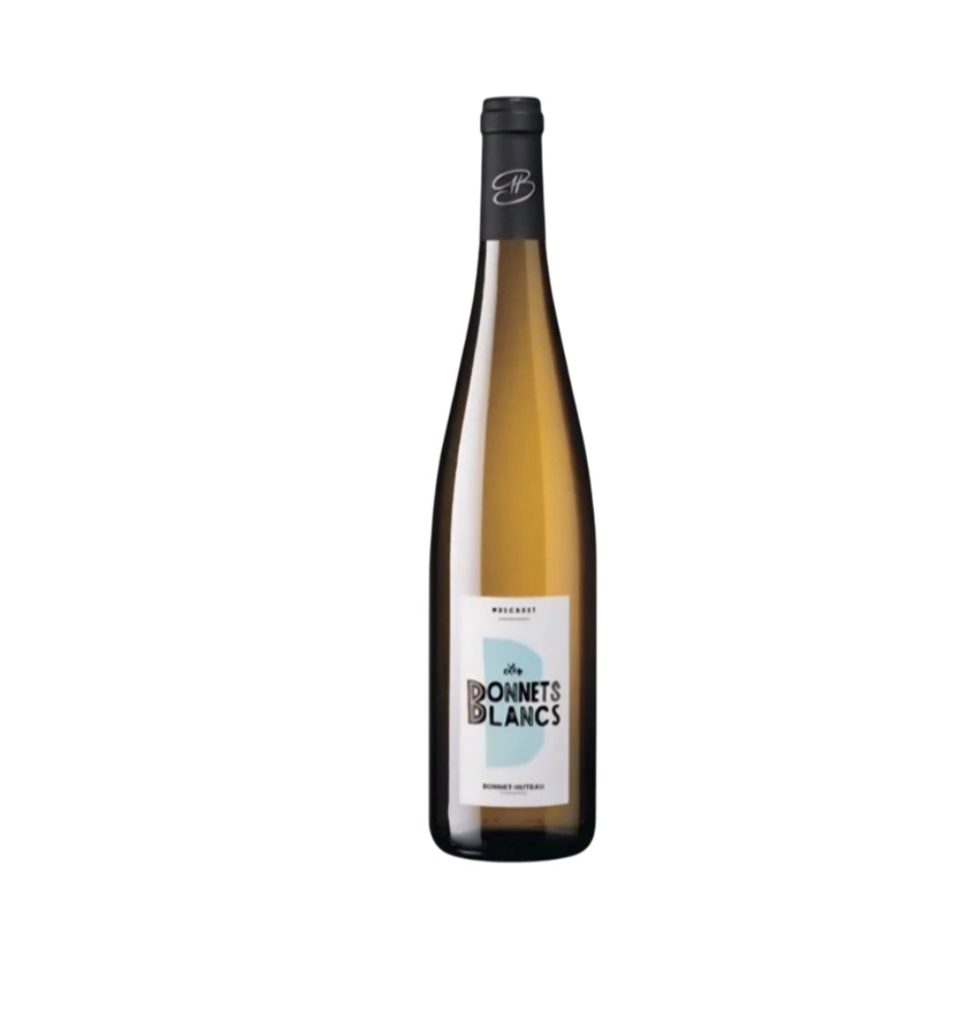 Muscadet LES BONNETS BLANCS dombonnet Hutrau blanc